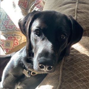 Meet your Posher, Kaylee